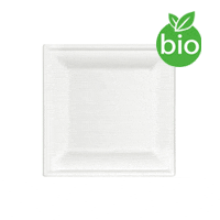 /photos/produits/assiette-biodegradable-fibre-16cm.gif