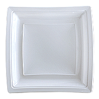 /photos/produits/assiette-carre-jetable-luxe.gif