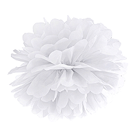 /photos/produits/boule-pompom-papier-35cm.gif