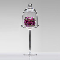 La Coupe en Verre sur Pied Etroite avec Cloche