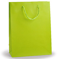 /photos/produits/grand-sac-cadeau-vert-anis.jpg