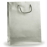 Grand Sac Satiné Cordelette Gris Argent 22 x 29 cm