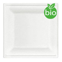 /photos/produits/grande-assiette-carree-biodegradable-sucre-canne.j