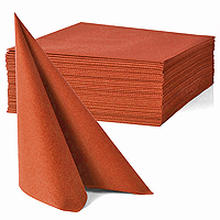 /photos/produits/serviette-table-epaisse-terracotta.jpg