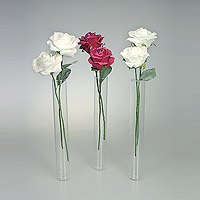 Lot de 3 Mini Vases Eprouvettes Tube avec 5 Roses